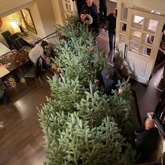 Bild enthält, Adult, Female, Person, Woman, Male, Man, Indoors, Head, Face, Festival