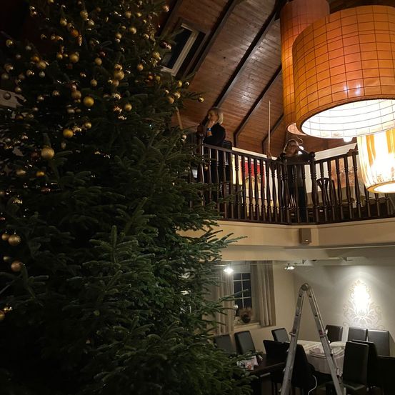 Bild enthält, Lighting, Plant, Tree, Person, Christmas, Christmas Decorations, Festival, Christmas Tree