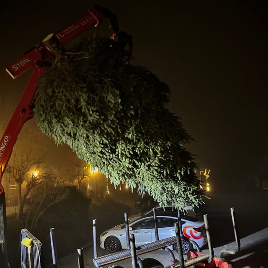 Bild enthält, Machine, Wheel, Car, Transportation, Vehicle, Tire, Spoke, Alloy Wheel, Car Wheel, Truck