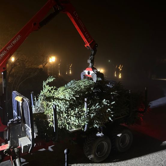 Bild enthält, Plant, Potted Plant, Machine, Wheel, Tire, Person, Worker, Hardhat, Construction, Car
