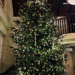 Bild enthält, Christmas, Christmas Decorations, Festival, Christmas Tree, Christmas Tree Ornaments, Plant