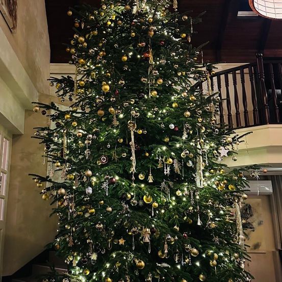 Bild enthält, Christmas, Christmas Decorations, Festival, Christmas Tree, Christmas Tree Ornaments, Plant