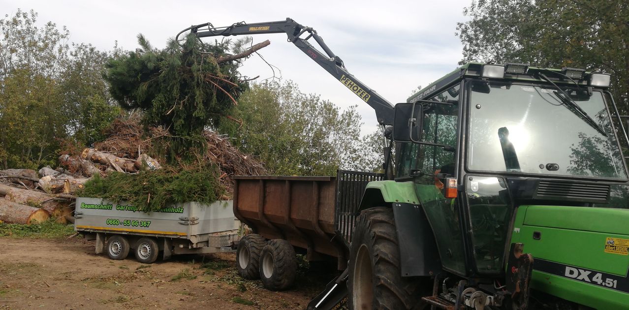 A tractor with a claw is removing a large tree from a forest. The tree is on the claw and being lifted by the tractor. A trailer is parked on the left side. The sky is clear with some clouds.