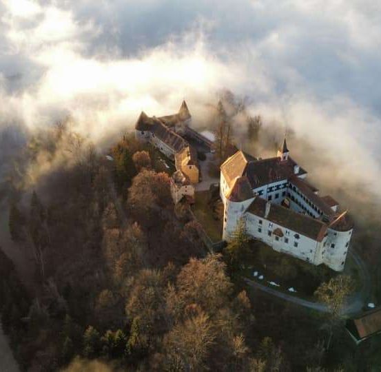 Eine mittelalterliche Burg steht auf einem Hügel, umgeben von dichtem Nebel und kahlen Bäumen. Die Steinmauern und Türme der Burg sind sichtbar, mit einer Zufahrtsstraße, die zu ihr führt.