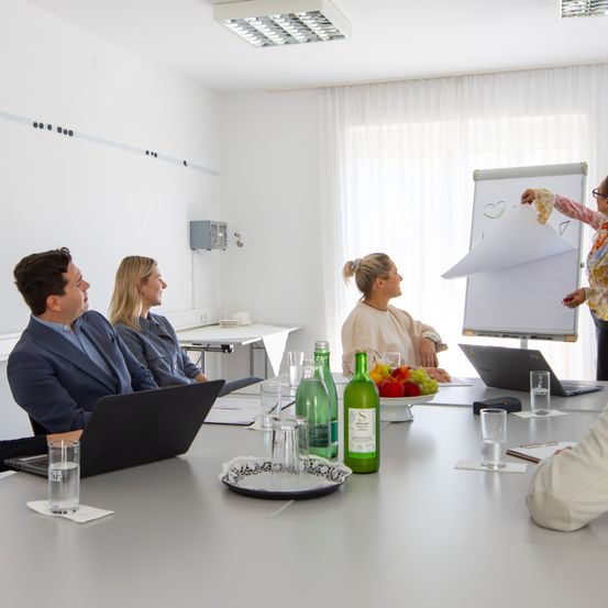 Eine Gruppe von Menschen sitzt in einem Besprechungsraum um einen Tisch herum. Eine Frau steht vor einer Tafel und erklärt etwas. Ein Laptop, eine Flasche und Gläser befinden sich auf dem Tisch.