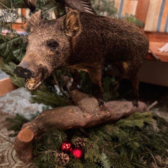 Eine Wildschweinstatue steht auf einem Ast, umgeben von Weihnachtsdekorationen, mit Tannenzapfen und roten Ornamenten.