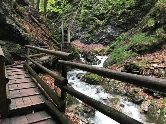 Eine Holzbrücke mit einer Treppe führt über einen fließenden Bach in einem üppigen, bewaldeten Gebiet.