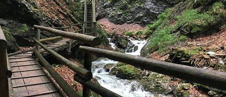 Eine Holzbrücke mit einer Treppe führt über einen fließenden Bach in einem üppigen, bewaldeten Gebiet.