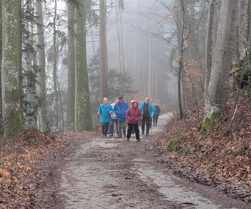 Eine Gruppe von Menschen läuft auf einem nebligen Pfad im Wald, einige tragen Winterkleidung und halten Stöcke. Der Pfad ist von Bäumen und trockenen Blättern umgeben.