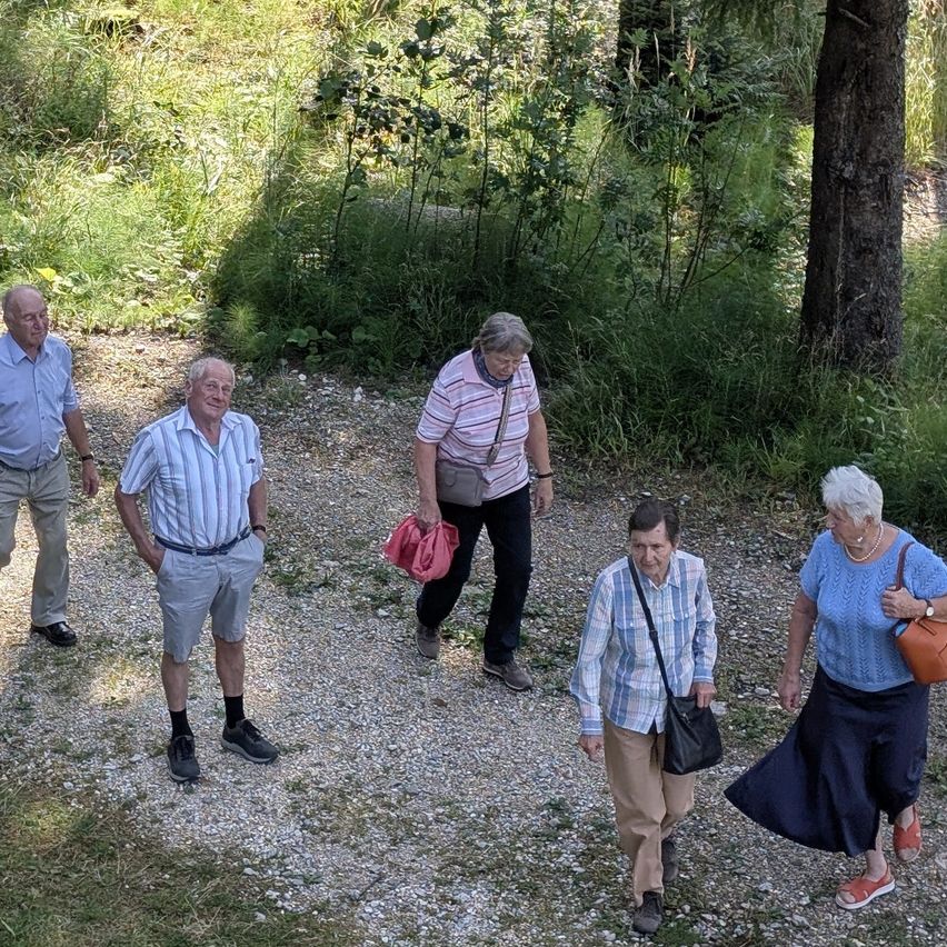 Eine Gruppe älterer Personen geht auf einem Kiesweg in einem Park, umgeben von Grün und Bäumen.
