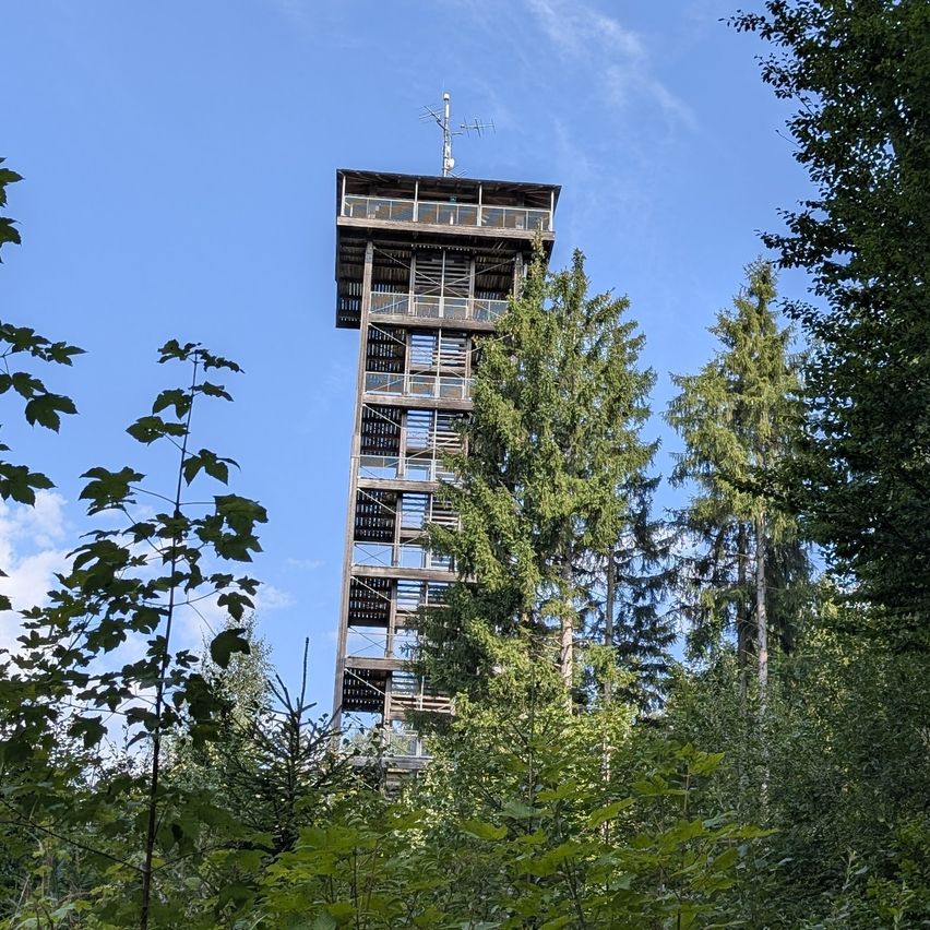 Ein hoher hölzerner Aussichtsturm mit mehreren Ebenen und einer Funkantenne auf der Spitze, umgeben von dichtem grünem Wald.