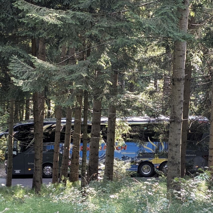 Ein Bus steht in einem Wald mit hohen Bäumen und grünem Laub. Der Bus ist blau und gelb mit dem Wort 'Willkommen' an der Seite.