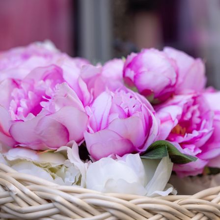 Ein Korb mit rosa und weißen Pfingstrosen, einige mit grünen Blättern, in einer Blumenladen-Ausstellung angeordnet.