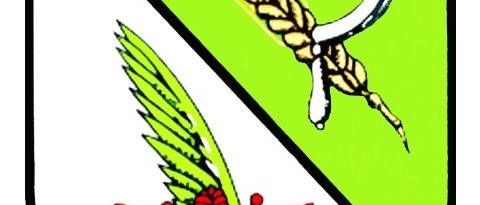 v1_migrated_image_81945547