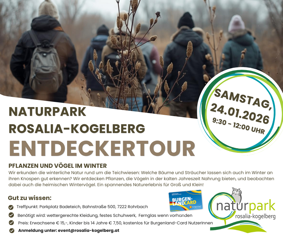 Ein Plakat für eine Winterwanderung. Es zeigt Wanderer in Winterkleidung und bewirbt eine geführte Tour. Die Veranstaltung findet am 24.01.2024 von 9:30 bis 12:00 Uhr statt.