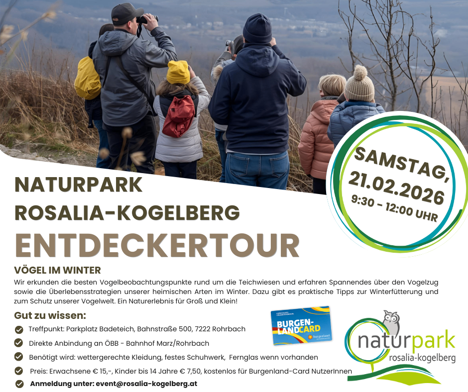 Ein Plakat für eine Winter-Vogelbeobachtungstour. Mehrere Menschen in Winterkleidung stehen auf einem Hügel und beobachten die Umgebung mit Ferngläsern. Datum, Uhrzeit und Ort sind angegeben, sowie ein Text über die Veranstaltung.