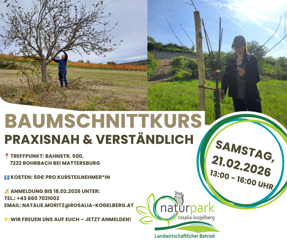 Eine Werbung für einen Schnittkurs. Zwei Bilder zeigen eine Person, die einen Baum beschneidet. Der Text gibt Details zum Kurs, einschließlich Datum, Uhrzeit und Kontaktinformationen.