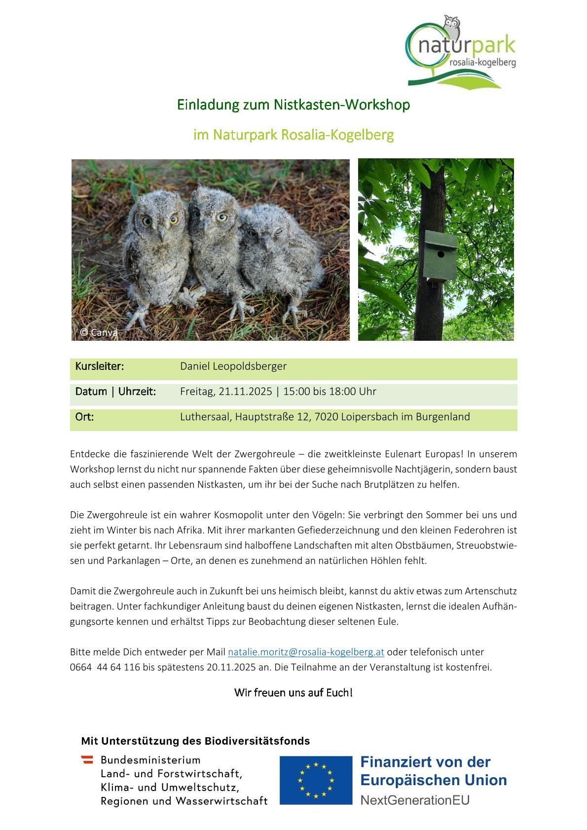 Plakat mit drei jungen Eulen auf dem Boden, eine mit Nistkasten. Veranstaltungsdetails für Eulenworkshop im Naturpark Rosalia-Kogelberg. Workshop behandelt Eulenverhalten, Nistkästen und Nachtaktivitäten. Kontaktinformationen bereitgestellt.