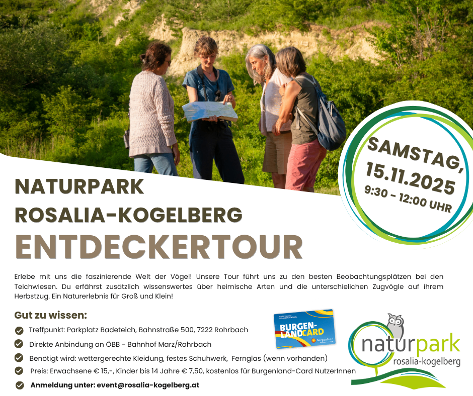 Vier Personen stehen in einem Park und schauen auf eine Karte. Eine von ihnen hält eine Karte in der Hand und liest sie. Sie tragen Freizeitkleidung und haben Rucksäcke dabei. Sie machen wahrscheinlich eine Vogelbeobachtungstour. Das Bild hat einen Wasserzeichen mit dem Text 'Naturpark' auf der linken Seite.