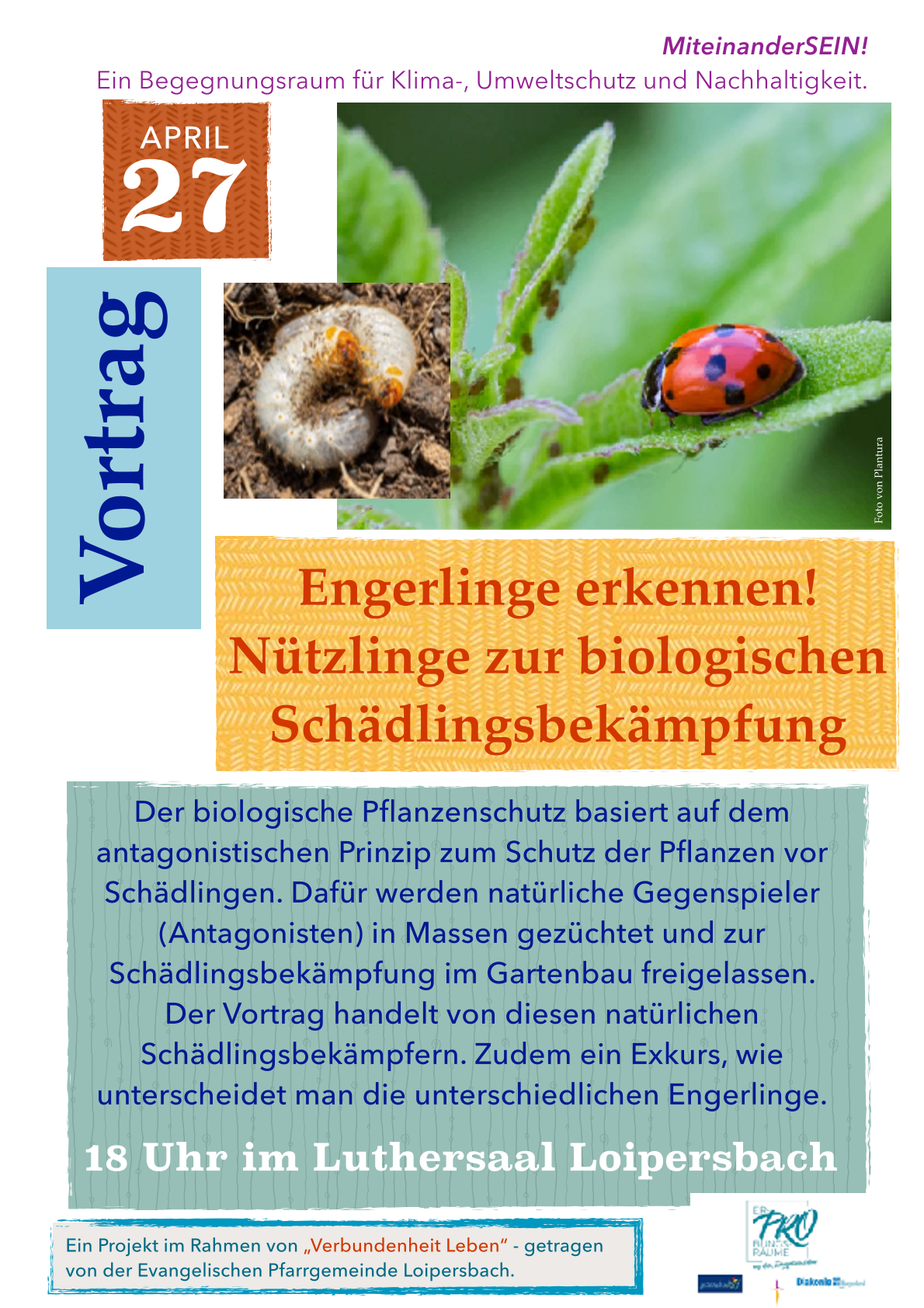 Das Bild zeigt einen Präsentationsfolien-Slide über die Erkennung von Raupen und nützlichen Insekten für den biologischen Pflanzenschutz. Es zeigt ein Bild von einer Marienkäfer und einer Raupe auf einer Pflanze. Der Text betont die Verwendung von natürlichen Feinden im Gartenbau.
