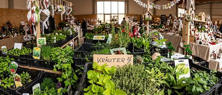 Ein gut organisierter Innengarten mit verschiedenen Kräutern und Pflanzen in schwarzen Kisten, beschriftet mit einem Holzschild, das 'KRÄUTER' liest. Im Hintergrund stöbern Menschen zwischen den Pflanzen.