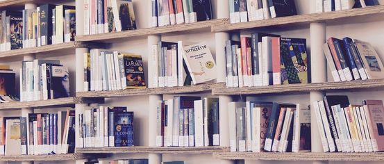 Furniture, Bookcase, Book, Publication, Person