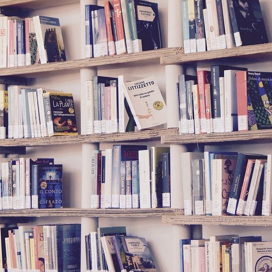 Bild enthält, Furniture, Bookcase, Book, Publication, Person