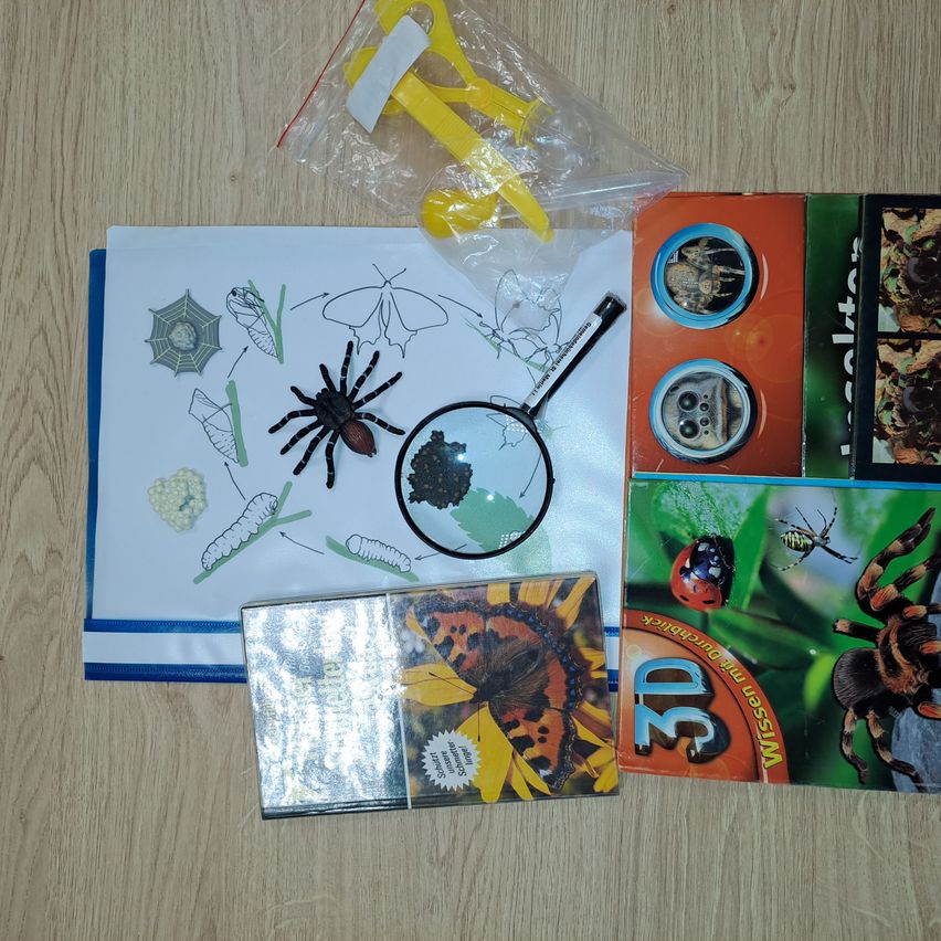 Eine Sammlung von Lehrmaterialien über Insekten, einschließlich Bücher, eine Lupe und eine Plastiktüte mit gelben Scheren und einem Spinnenmodell.