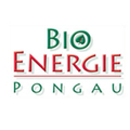 Bioenergie Pongau GmbH-Logo