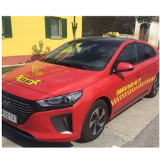 Hallo Taxi Bleich GmbH-Logo