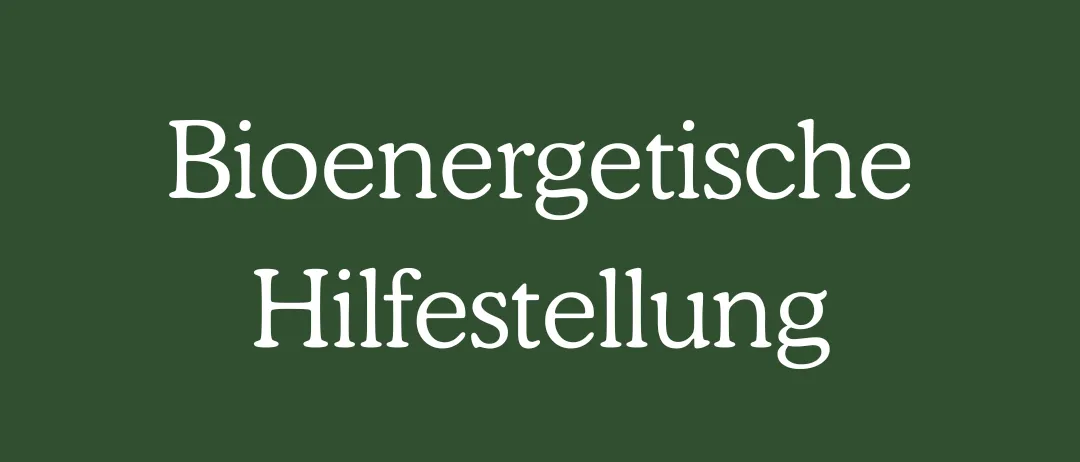 Ein grüner Hintergrund mit weißem Text auf Deutsch, der 'Bioenergetische Hilfestellung' lautet.