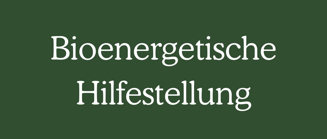 Ein grüner Hintergrund mit weißem Text auf Deutsch, der 'Bioenergetische Hilfestellung' lautet.