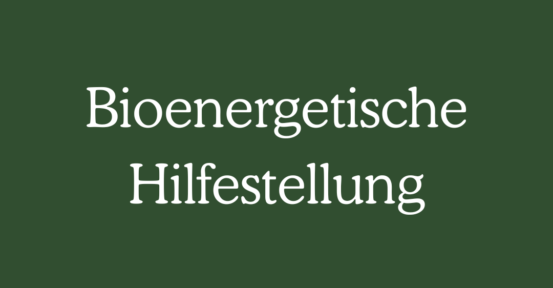 Ein grüner Hintergrund mit weißem Text auf Deutsch, der 'Bioenergetische Hilfestellung' lautet.