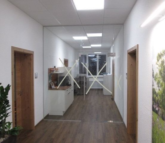 Ein leerer Flur mit Holzboden, weißen Wänden und Glastrennwänden. Ein Topf mit Pflanzen steht links und eine Baummalerei rechts. Die Decke hat Einbauleuchten.