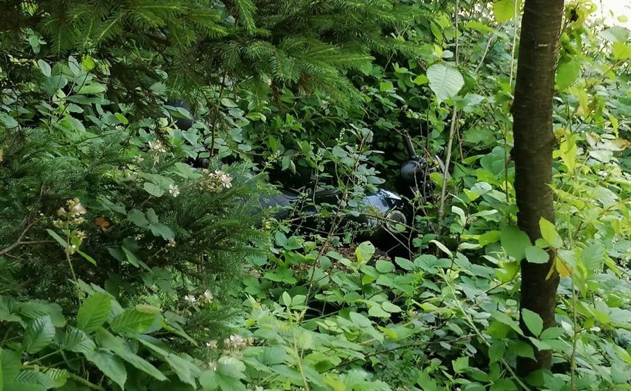 Bild enthält, Vegetation, Jungle, Nature, Outdoors, Land, Rainforest, Tree, Taking Cover, Woodland, Green