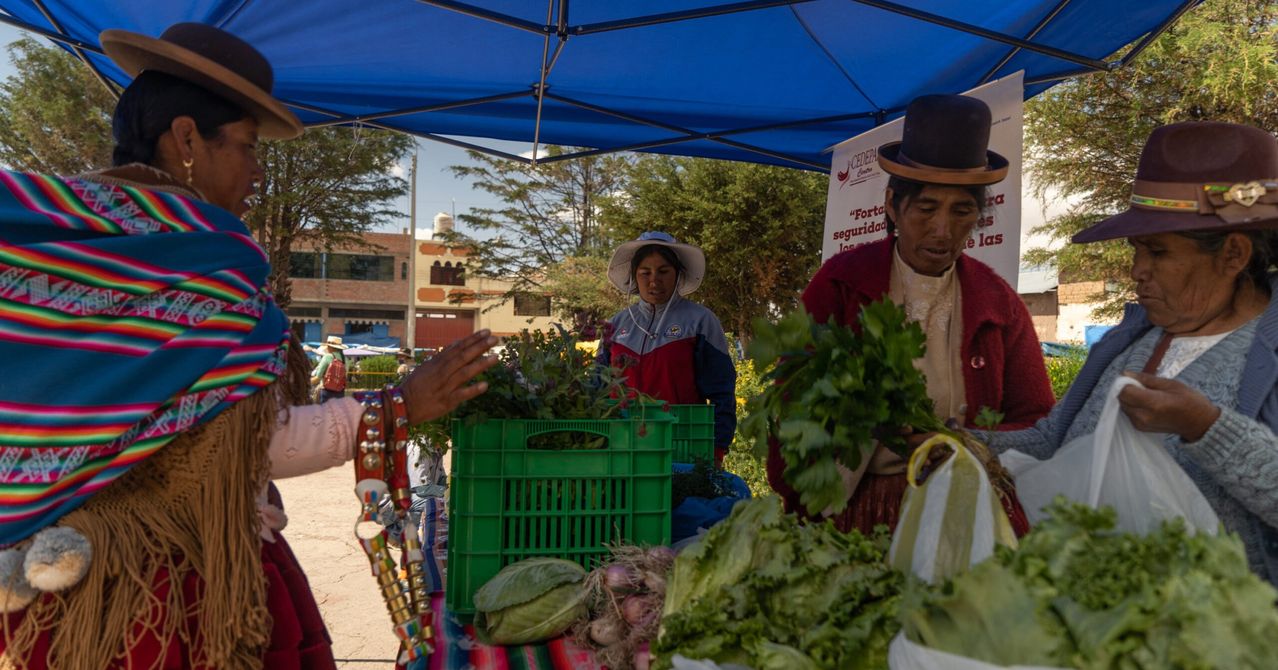 Zwei Personen verkaufen Gemüse unter einem blauen Zelt. Eine Frau mit Hut hält einen Korb mit Gemüse. Ein Mann hält Blattgemüse. Grüne Kisten und Säcke mit Gemüse stehen auf dem Tisch.