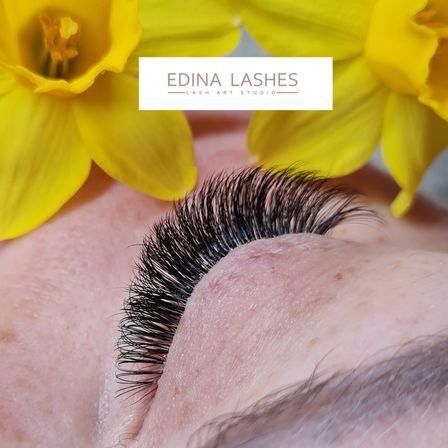 Eine Nahaufnahme eines Augens mit langen, gelockten Wimpern, mit gelben Blumen im Hintergrund und dem Logo 'EDINA LASHES' darüber.