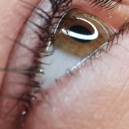 Nahaufnahme eines menschlichen Auges mit brauner Iris, Wimpern und sichtbarem Tränenkanal.