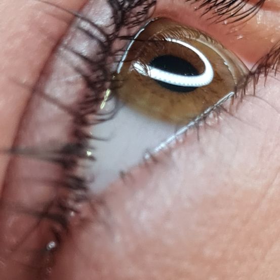 Nahaufnahme eines menschlichen Auges mit brauner Iris, Wimpern und sichtbarem Tränenkanal.