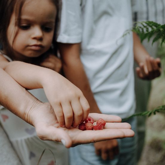 Bild enthält, Body Part, Finger, Hand, Person, Face, Head, Berry, Fruit, Plant, Produce