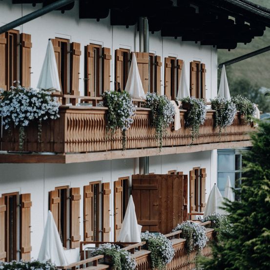 Bild enthält, Architecture, Building, Plant, Potted Plant, Hotel, Tree, Window, Indoors, Interior Design, Wood