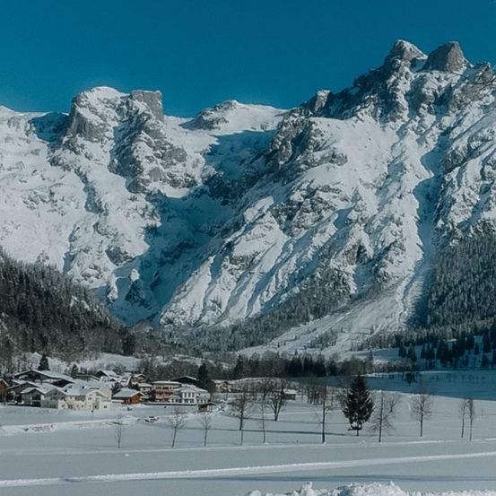 Bild enthält, Mountain, Nature, Outdoors, Glacier, Ice, Mountain Range, Scenery, Peak, Fir, Tree