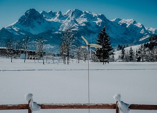 Bild enthält, Tree, Mountain, Mountain Range, Nature, Outdoors, Peak, Scenery, Fir, Landscape, Winter