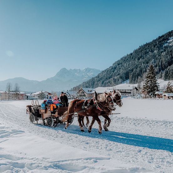 Bild enthält, Vehicle, Wagon, Person, Horse Cart, Horse, Mammal, Wheel, Nature, Outdoors, Hat