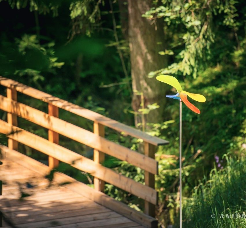 Bild enthält, Vegetation, Wood, Tree, Jungle, Land, Rainforest, Green, Woodland, Waterfront, Grove