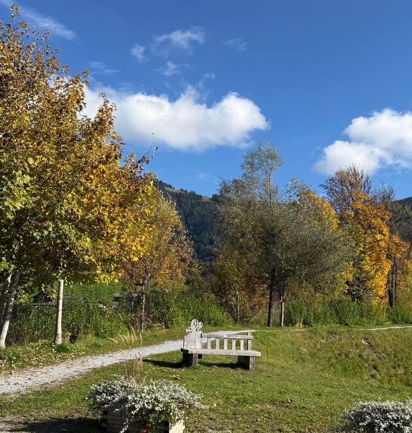 Eine Holzbank steht auf einem grasbewachsenen Hügel mit Bäumen in Herbstfarben, unter einem blauen Himmel mit Wolken. Ein Kiesweg führt zur Bank.