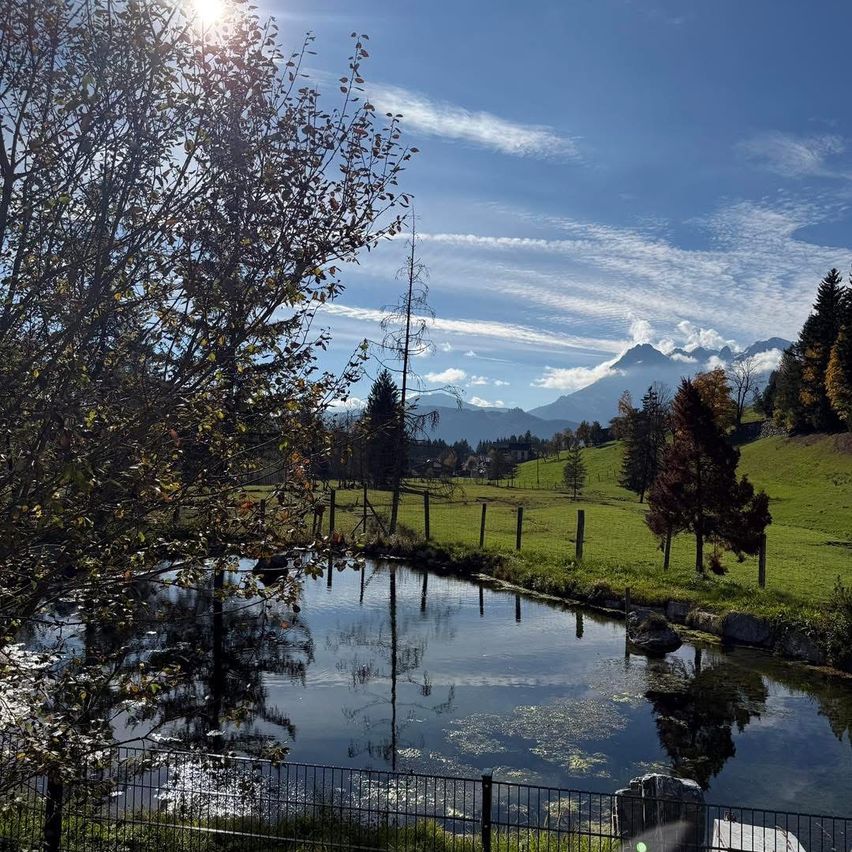 Eine friedliche Landschaft mit einem Teich, der den Himmel und Bäume reflektiert, einem Zaun und Bergen in der Ferne. Die Sonne scheint hell, und der Himmel ist blau mit Wolken.
