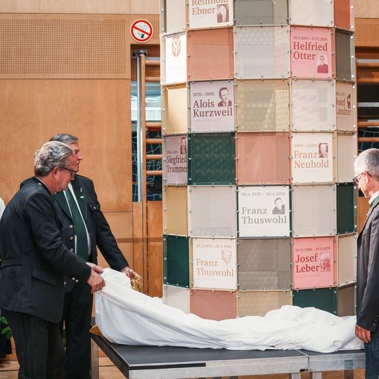 Bild enthält, Coat, Plywood, Adult, Female, Person, Woman, Male, Man, Suit, Hospital