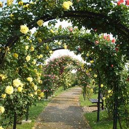 Bild enthält, Garden, Nature, Outdoors, Arbour, House, Housing, Porch, Park, Patio, Pergola