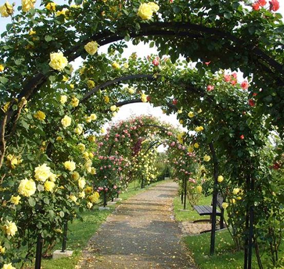 Bild enthält, Garden, Nature, Outdoors, Arbour, House, Housing, Porch, Park, Patio, Pergola